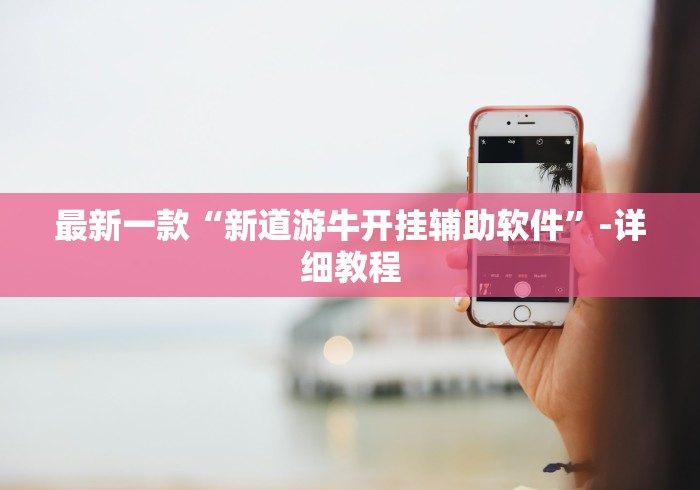 最新一款“新道游牛开挂辅助软件”-详细教程