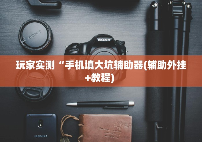 玩家实测“手机填大坑辅助器(辅助外挂+教程) 