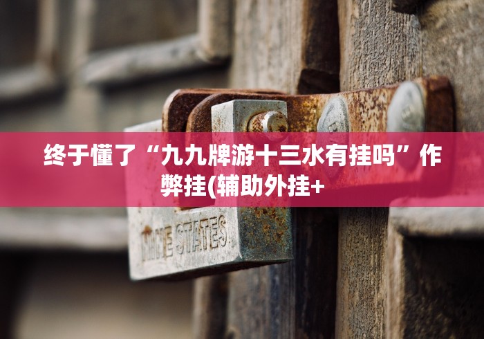 终于懂了“九九牌游十三水有挂吗”作弊挂(辅助外挂+