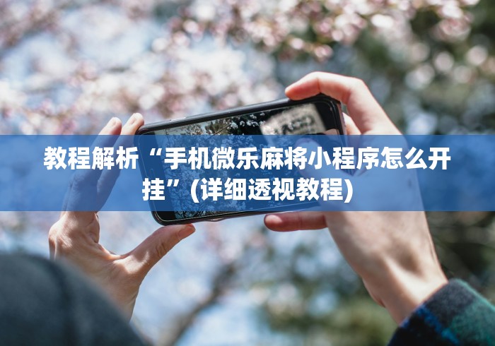 教程解析“手机微乐麻将小程序怎么开挂”(详细透视教程)