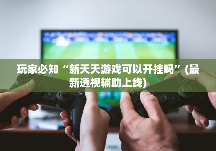 玩家必知“新天天游戏可以开挂吗”(最新透视辅助上线)
