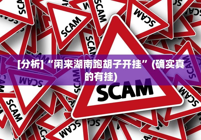 [分析]“闲来湖南跑胡子开挂”(确实真的有挂)