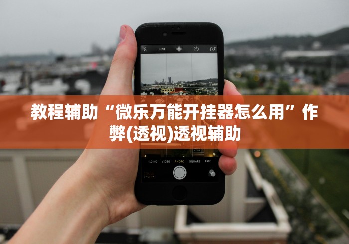 教程辅助“微乐万能开挂器怎么用”作弊(透视)透视辅助