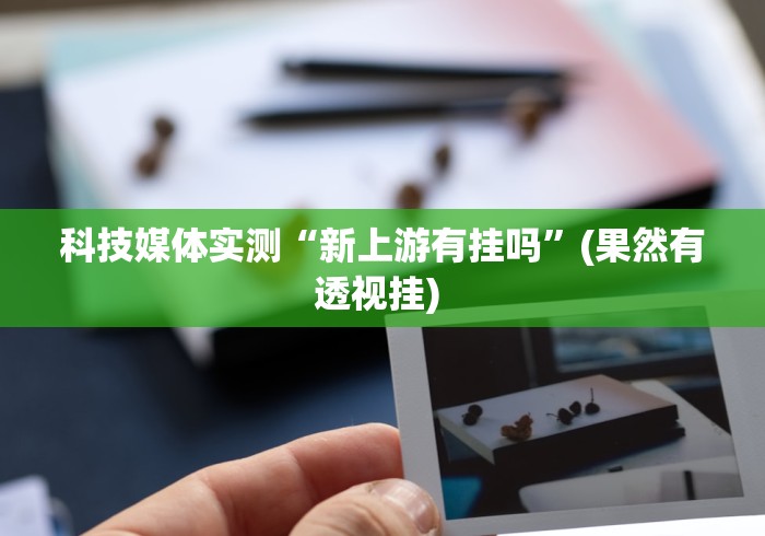 科技媒体实测“新上游有挂吗”(果然有透视挂) 