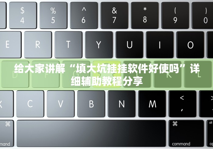 给大家讲解“填大坑挂挂软件好使吗”详细辅助教程分享