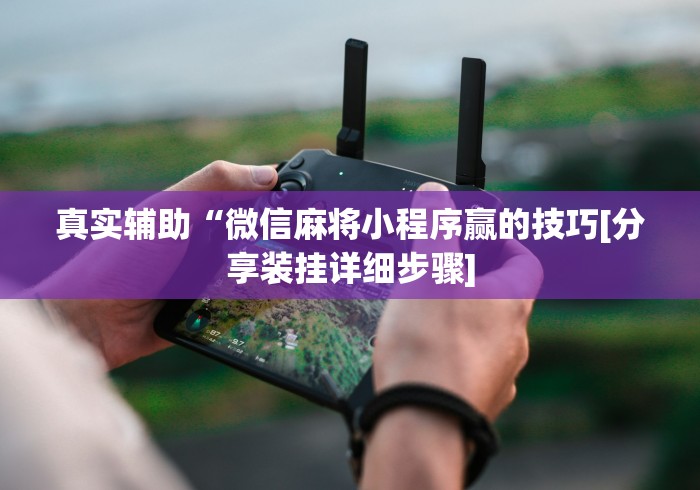 真实辅助“微信麻将小程序赢的技巧[分享装挂详细步骤]
