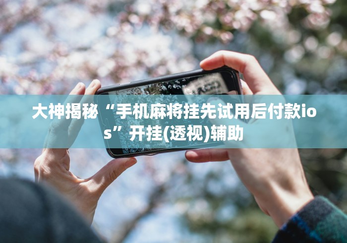 大神揭秘“手机麻将挂先试用后付款ios	”开挂(透视)辅助