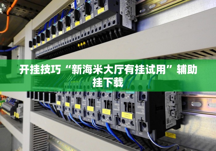 开挂技巧“新海米大厅有挂试用”辅助挂下载