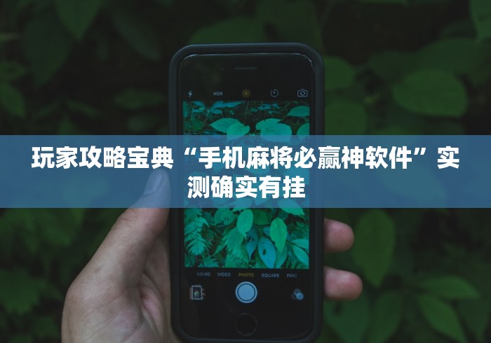 玩家攻略宝典“手机麻将必赢神软件”实测确实有挂