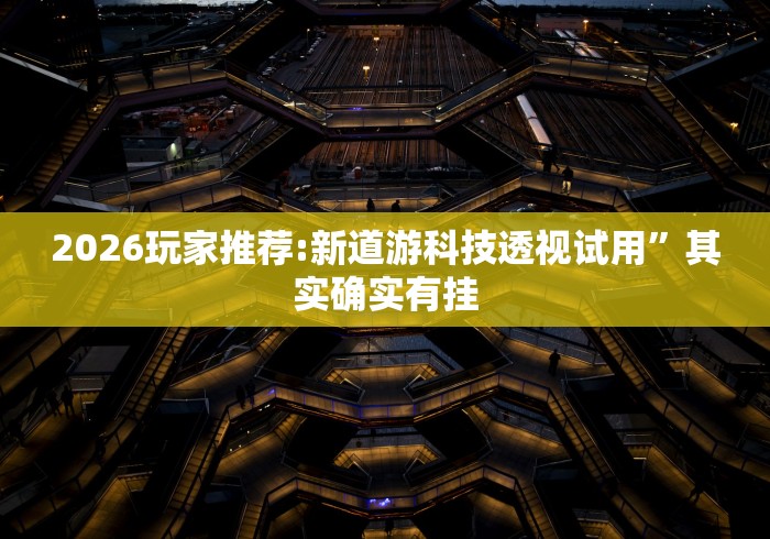 2026玩家推荐:新道游科技透视试用”其实确实有挂