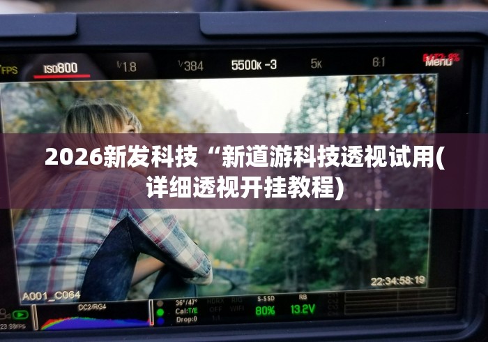 2026新发科技“新道游科技透视试用(详细透视开挂教程)