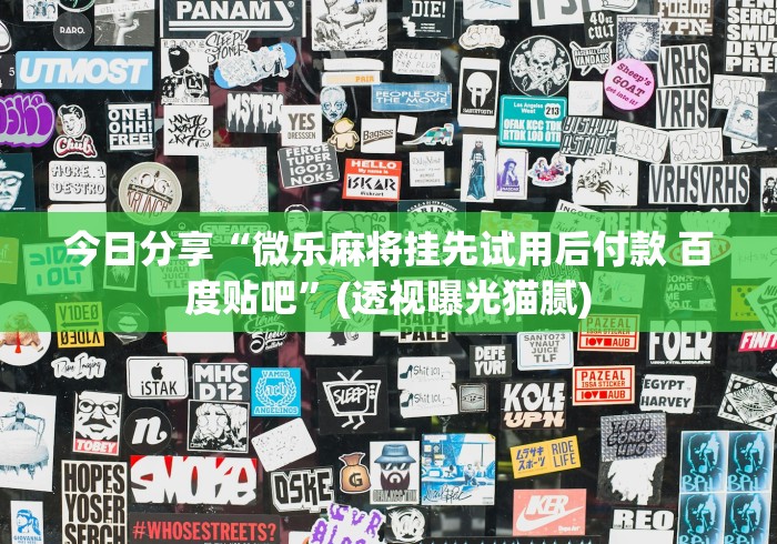 今日分享“微乐麻将挂先试用后付款 百度贴吧”(透视曝光猫腻)
