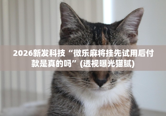 2026新发科技“微乐麻将挂先试用后付款是真的吗”(透视曝光猫腻)