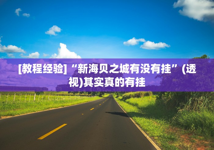 [教程经验]“新海贝之城有没有挂”(透视)其实真的有挂