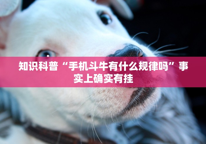 知识科普“手机斗牛有什么规律吗	”事实上确实有挂