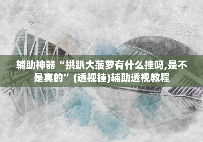 辅助神器“拱趴大菠萝有什么挂吗,是不是真的”(透视挂)辅助透视教程