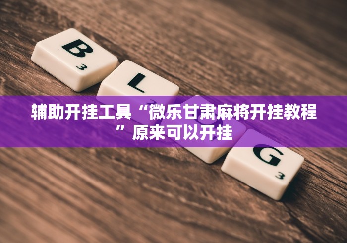 辅助开挂工具“微乐甘肃麻将开挂教程	”原来可以开挂