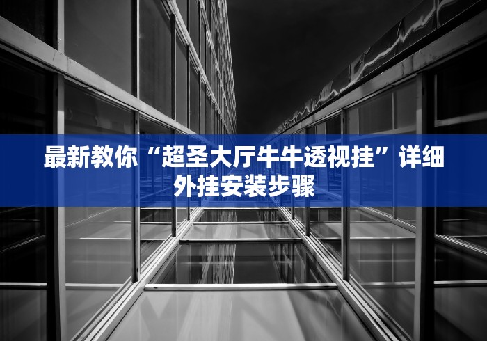 最新教你“超圣大厅牛牛透视挂”详细外挂安装步骤