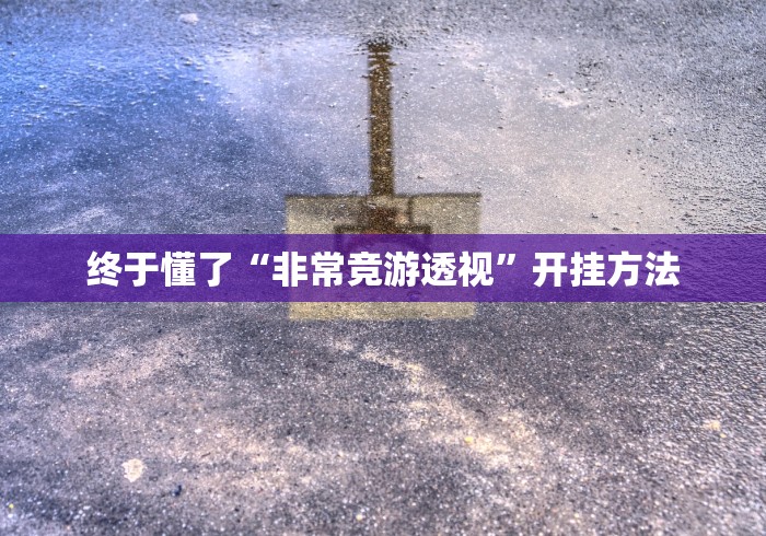 终于懂了“非常竞游透视”开挂方法