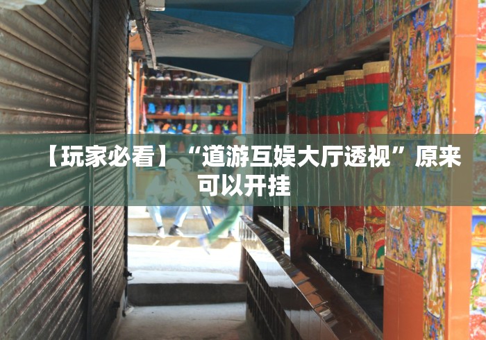 【玩家必看】“道游互娱大厅透视”原来可以开挂