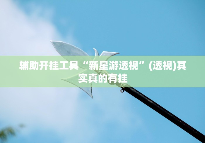 辅助开挂工具“新星游透视”(透视)其实真的有挂