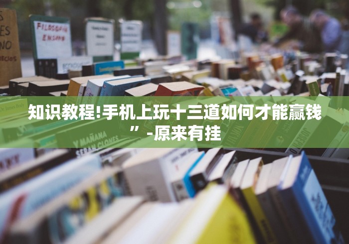 知识教程!手机上玩十三道如何才能赢钱	”-原来有挂