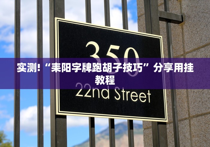 实测!“耒阳字牌跑胡子技巧”分享用挂教程