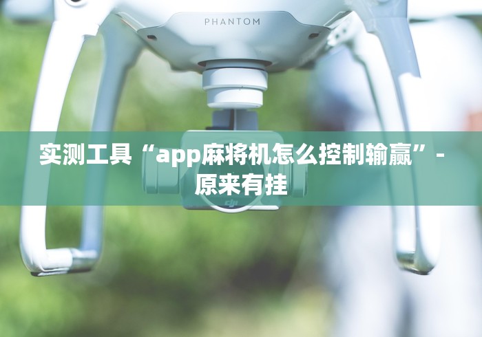 实测工具“app麻将机怎么控制输赢”-原来有挂