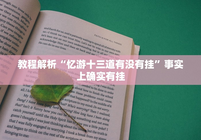 教程解析“忆游十三道有没有挂”事实上确实有挂