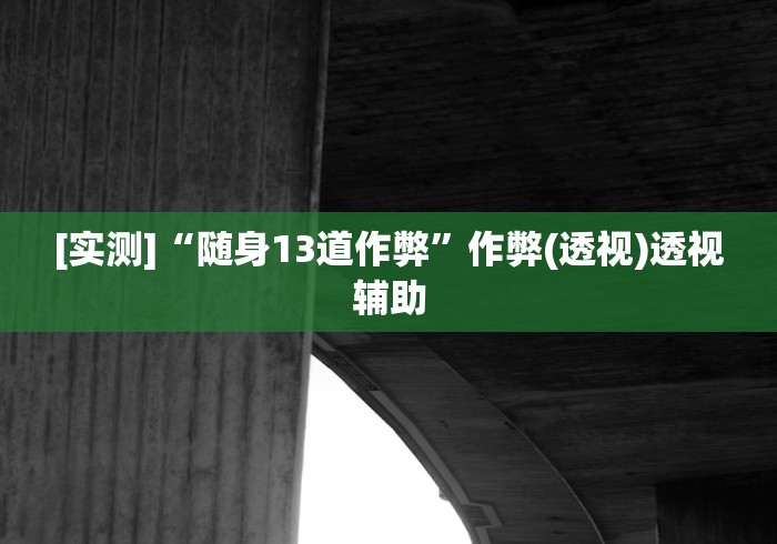 [实测]“随身13道作弊”作弊(透视)透视辅助