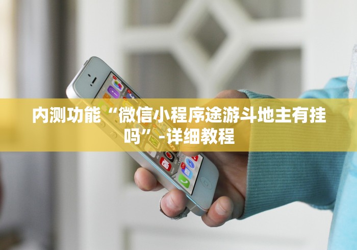 内测功能“微信小程序途游斗地主有挂吗”-详细教程