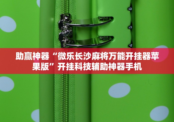 助赢神器“微乐长沙麻将万能开挂器苹果版	”开挂科技辅助神器手机