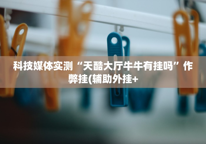 科技媒体实测“天酷大厅牛牛有挂吗”作弊挂(辅助外挂+