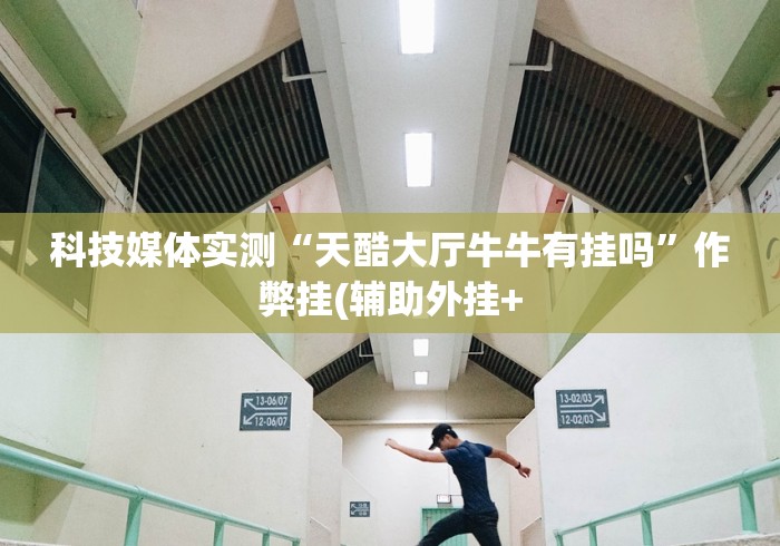 科技媒体实测“天酷大厅牛牛有挂吗”作弊挂(辅助外挂+
