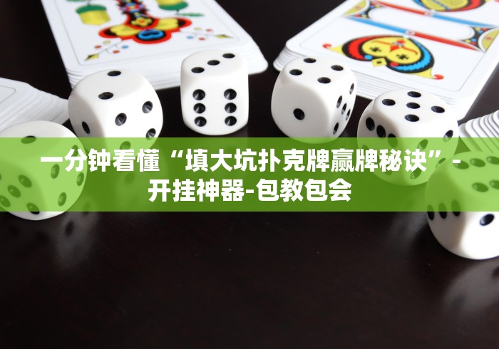 一分钟看懂“填大坑扑克牌赢牌秘诀”-开挂神器-包教包会