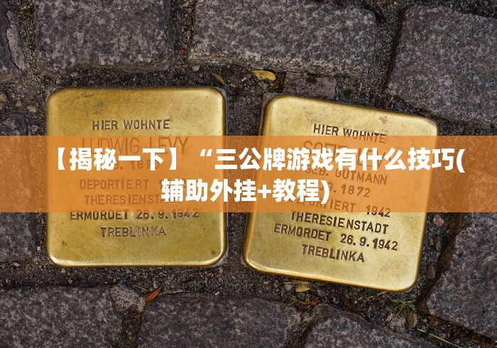 【揭秘一下】“三公牌游戏有什么技巧(辅助外挂+教程) 