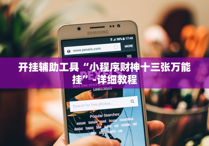 开挂辅助工具“小程序财神十三张万能挂”-详细教程