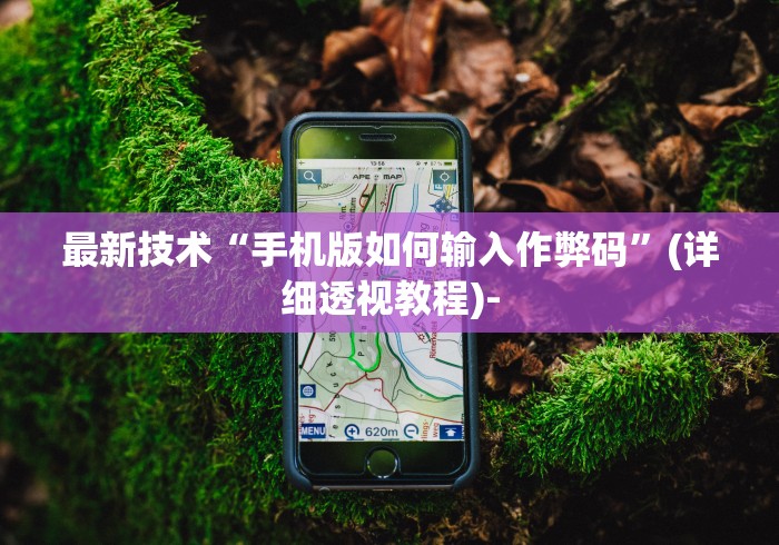 最新技术“手机版如何输入作弊码”(详细透视教程)-