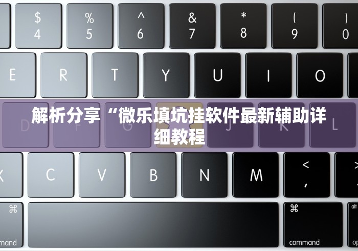 解析分享“微乐填坑挂软件最新辅助详细教程