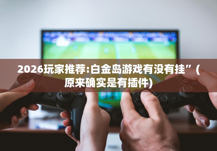 2026玩家推荐:白金岛游戏有没有挂”(原来确实是有插件)