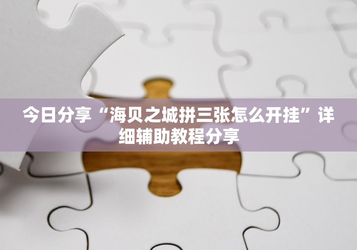 今日分享“海贝之城拼三张怎么开挂”详细辅助教程分享