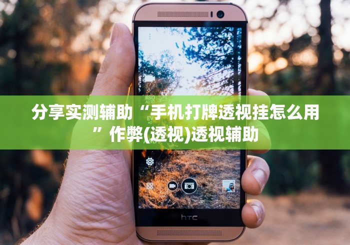 分享实测辅助“手机打牌透视挂怎么用”作弊(透视)透视辅助
