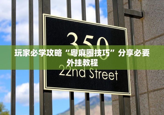 玩家必学攻略“粤麻圈技巧	”分享必要外挂教程