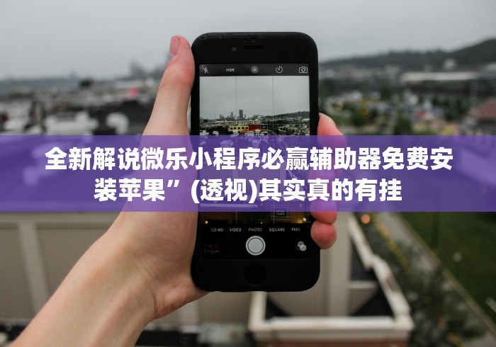 全新解说微乐小程序必赢辅助器免费安装苹果	”(透视)其实真的有挂