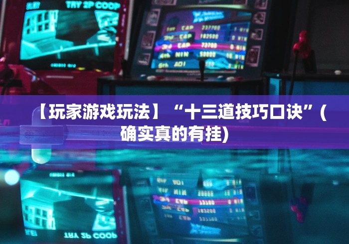 【玩家游戏玩法】“十三道技巧口诀	”(确实真的有挂)