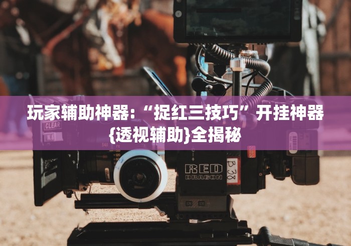 玩家辅助神器:“捉红三技巧”开挂神器{透视辅助}全揭秘
