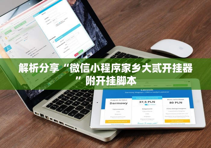 解析分享“微信小程序家乡大贰开挂器”附开挂脚本