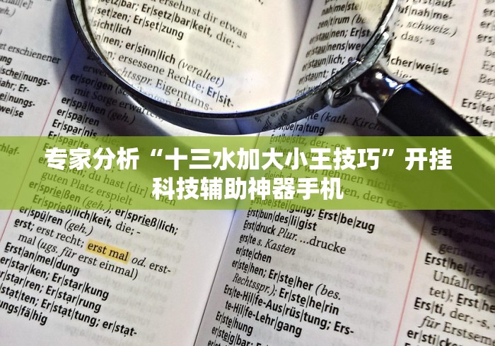 专家分析“十三水加大小王技巧”开挂科技辅助神器手机