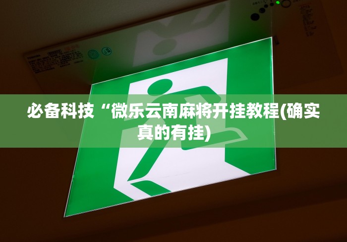 必备科技“微乐云南麻将开挂教程(确实真的有挂) 必备科技“微乐云南麻将开挂教程(确实真的有挂)