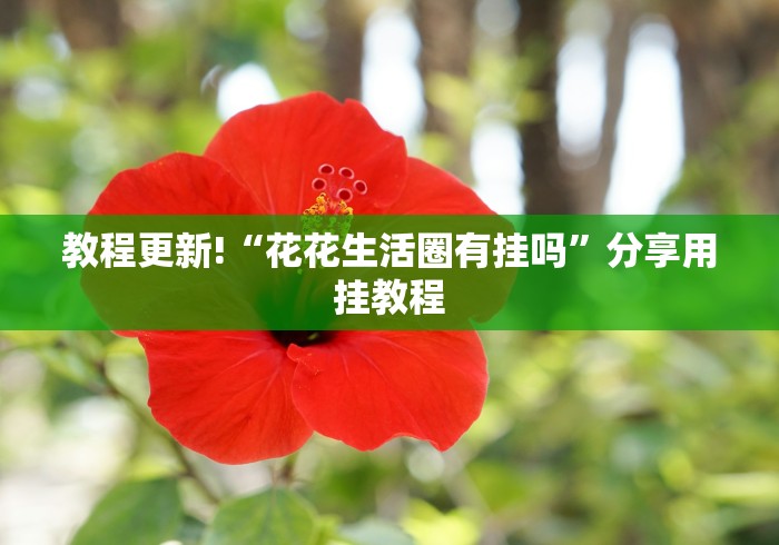 教程更新!“花花生活圈有挂吗	”分享用挂教程